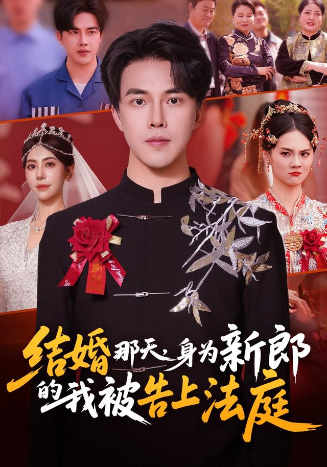 结婚那天，身为新郎的我被告上法庭海报