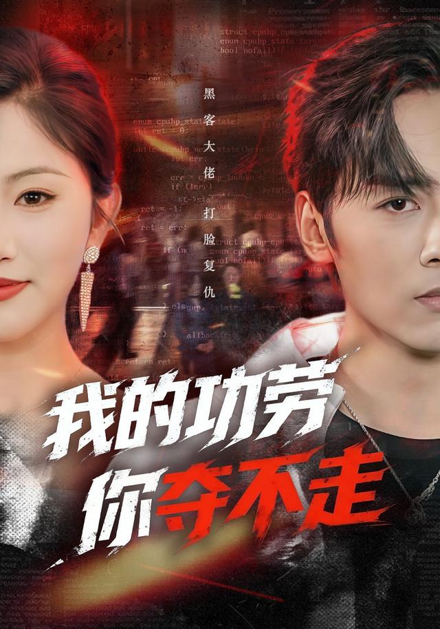 我的功劳，你夺不走海报
